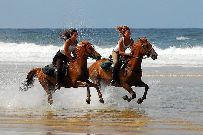 Randonnée à cheval à Agadir