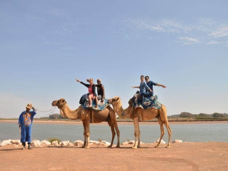 Promenade à dos de chameau à Agadir
