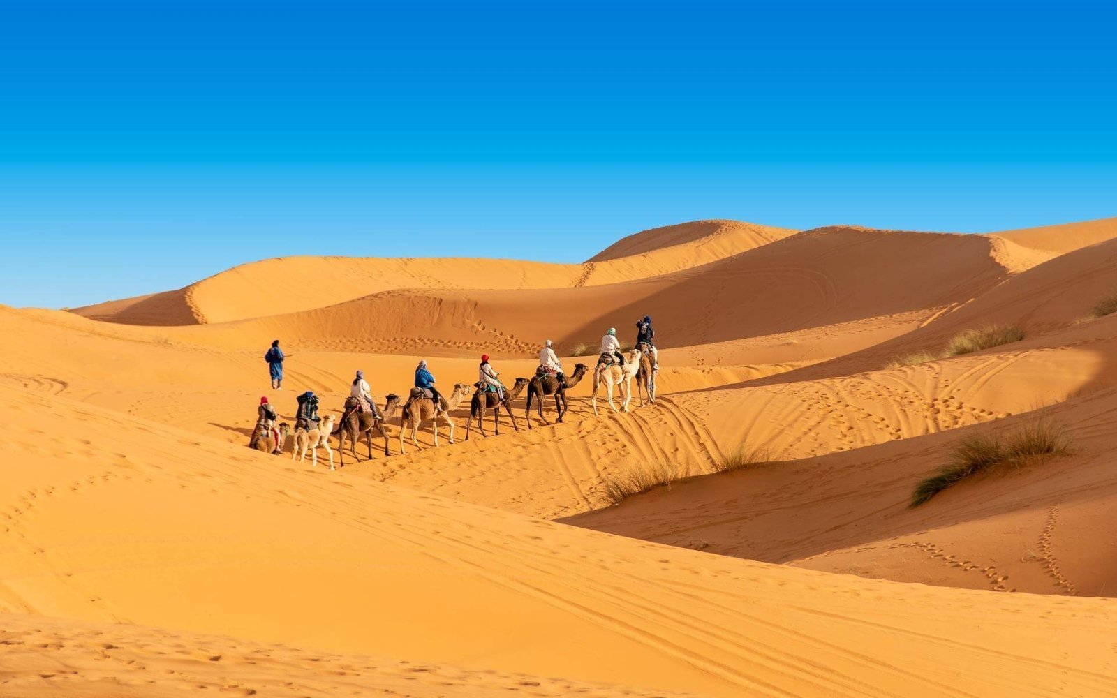 Sahara Desert & Imperial Tours - Agadir Desert Tour