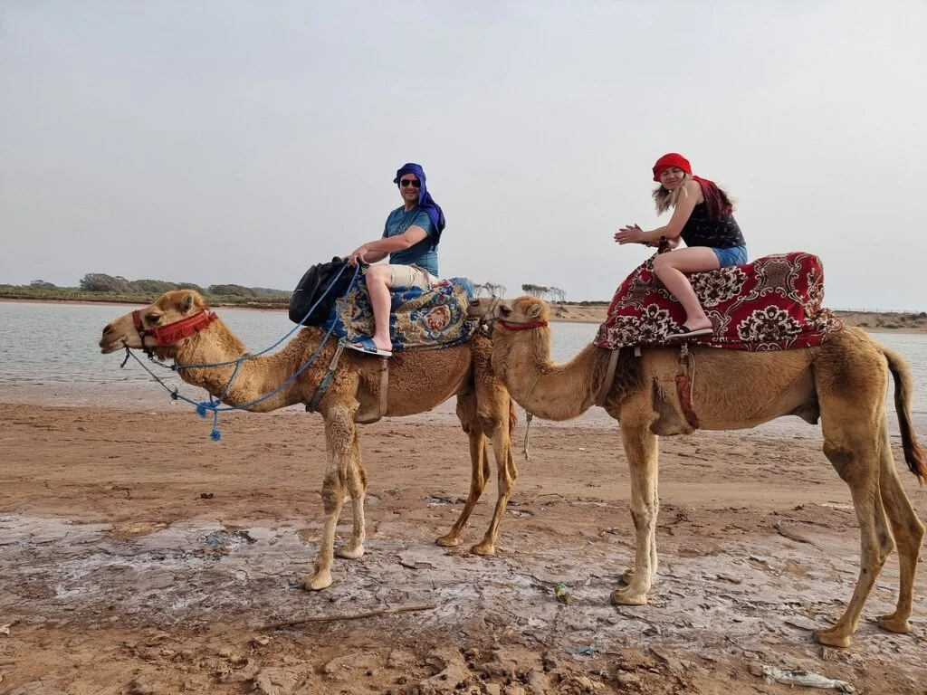 BBQ camel ride experience in Agadir at sunset