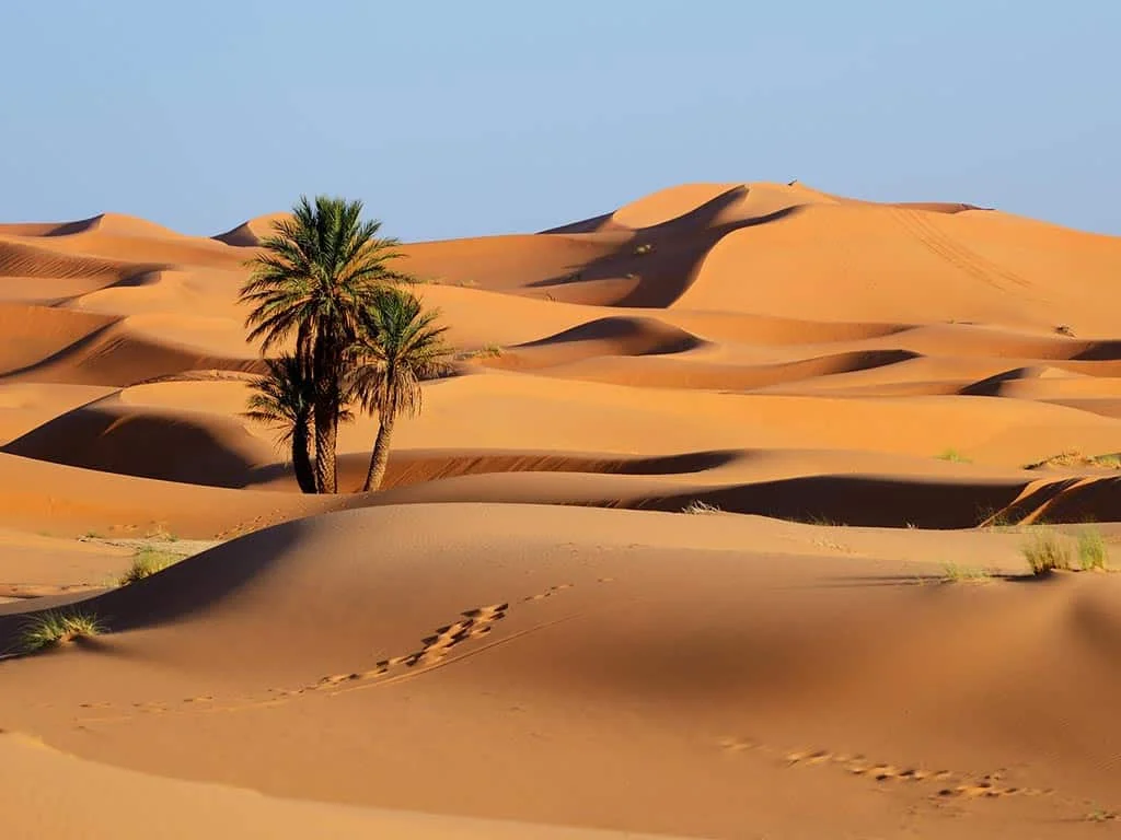 Sahara & Imperial Tours